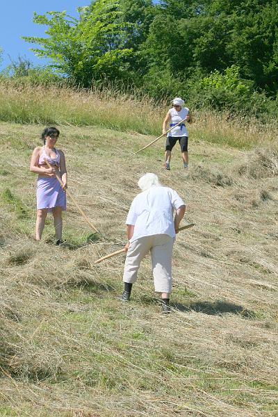 Heuen 2008 018.jpg